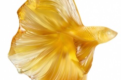 BD-10685300-Fighting-fish-large-size-sculpture-amber-Image©-LALIQUE-SA