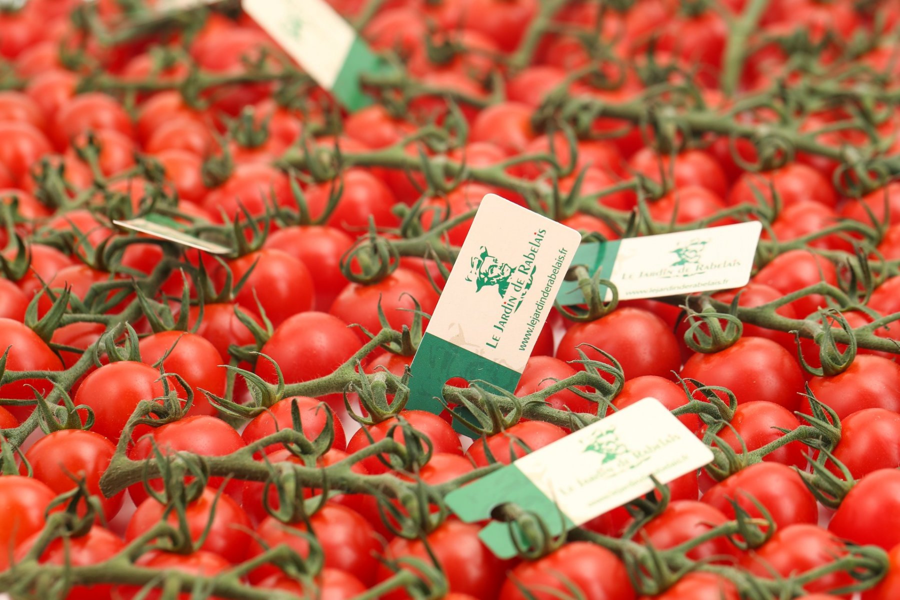 103473820_663074150939999_2504506250750999618_o