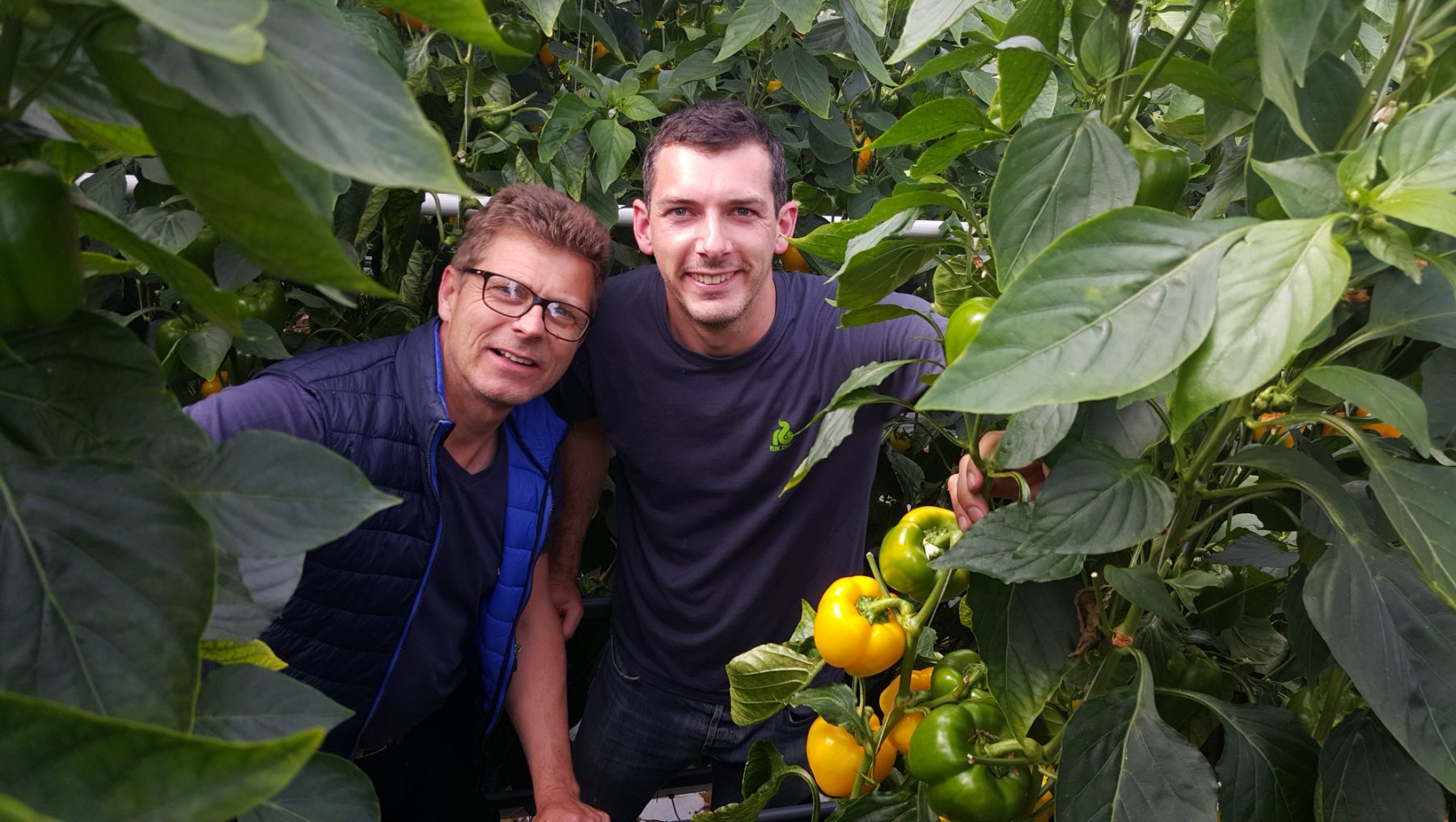 92909722_628677954379619_1484992991360712704_o