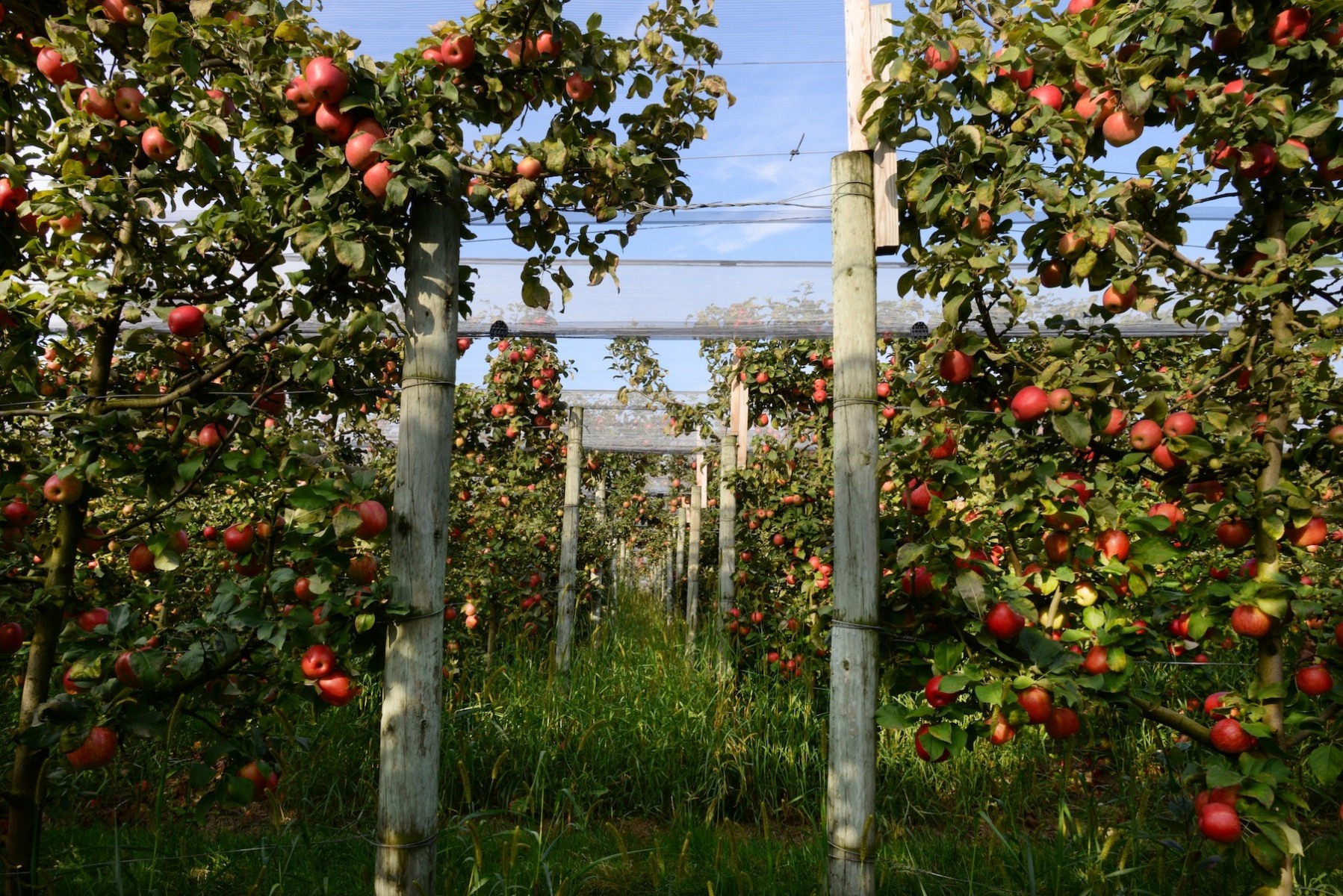 93876382_633181737262574_1942173302034268160_o