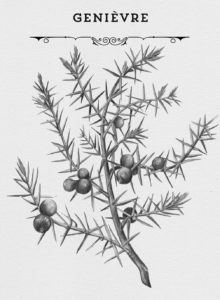 Discover more than 63 juniper tree tattoo  thtantai2