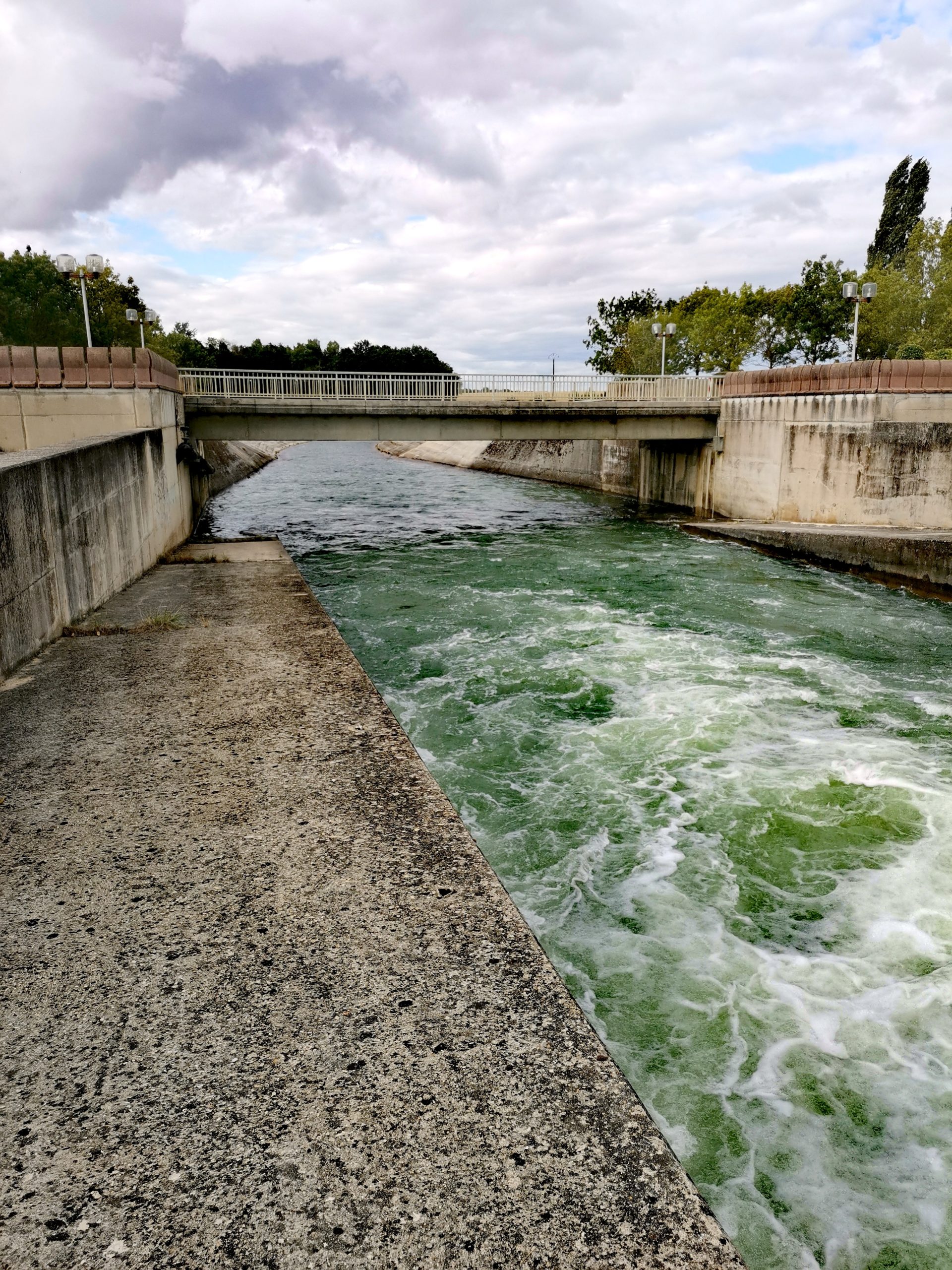 The Grands Lacs de Champagne open you the doors of the Forêt d’Orient ...